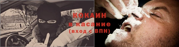 бошки Алексин