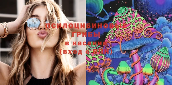молекула духа Дмитриев