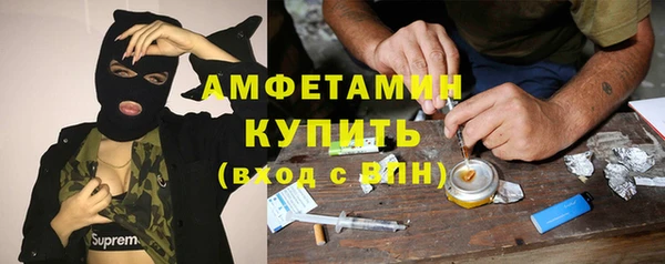 PSILOCYBIN Алзамай