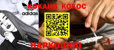 гашик Гусев
